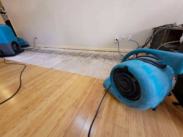 Professional Basement Flood Cleanup technician working in Toledo, WA